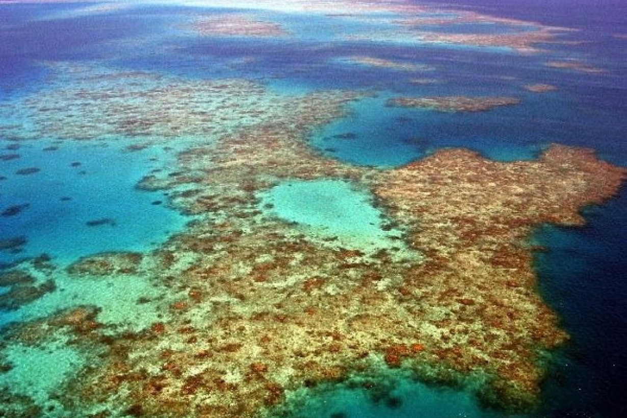 Єдине на планеті море без берегів - Саргасове море.